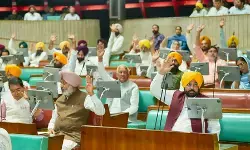 दिल्ली एयरपोर्ट पर दो घंटे बैठाया, 50 हजार का भरवाया चालान, पंजाब विधानसभा में बोले सीएम भगवंत मान