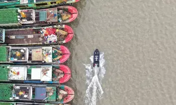 20 शहरों और काउंटियों में स्कूल-ऑफिस बंद, ताइवान में टाइफून चांपी का अलर्ट