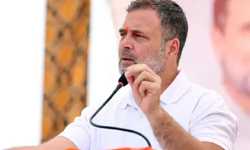कौन राहुल कैसी जनता एक नवंबर को सब पता चल जाएगा!