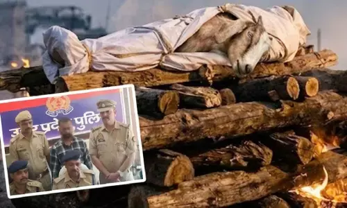 UP News: चिता पर लेटकर खिंचवाई तस्वीर, बकरे का दाह संस्कार कर खुद को बताया मृत UP News: चिता पर लेटकर खिंचवाई तस्वीर, बकरे का दाह संस्कार कर खुद को बताया मृत