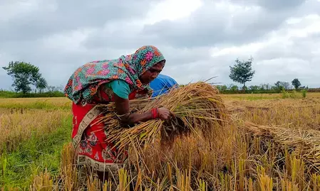 राजस्थान में चक्रवात अर्नब के कारण हुई बारिश, तापमान में गिरावट