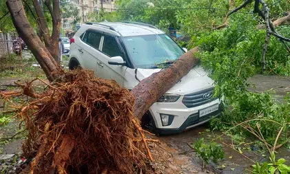 चक्रवात अर्नब से आंध्र प्रदेश में सात मौतें, 4,600 करोड़ रुपए के नुकसान का अनुमान : सीएम नायडू